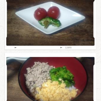 手作りのゆず塩こうじに漬けたミニトマトとピーマン、三色丼