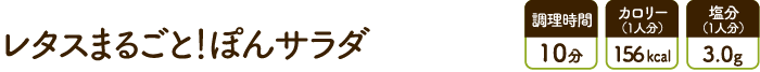 レタスまるごと！ぽんサラダ