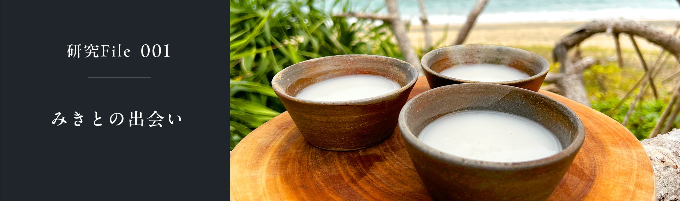 研究File 001 みきとの出会い