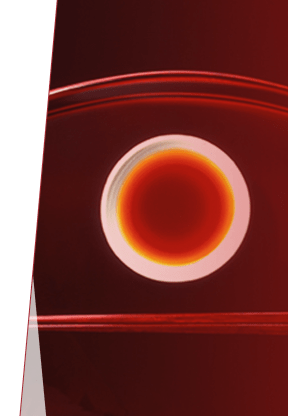 世界最高峰の味わいを、食卓に。