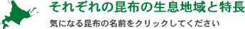 それぞれの昆布の生息地域と特長